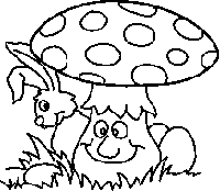 SPORTELLO ISPETTORATO MICOLOGICO