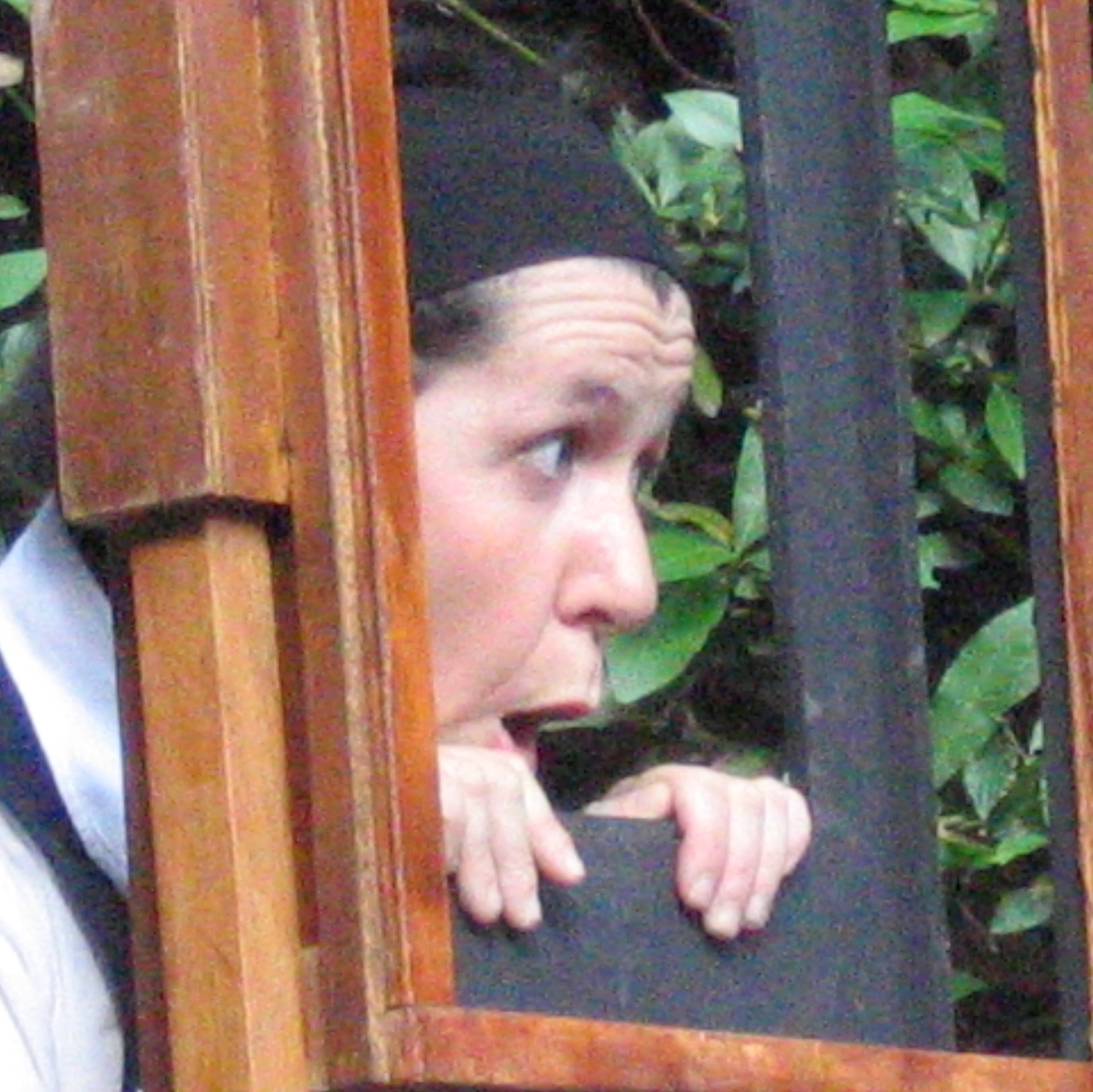 BIBLIOTECA: TANTE STORIE ANCHE D'ESTATE...