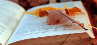 AUTUNNO CULTURALE SALTRIESE